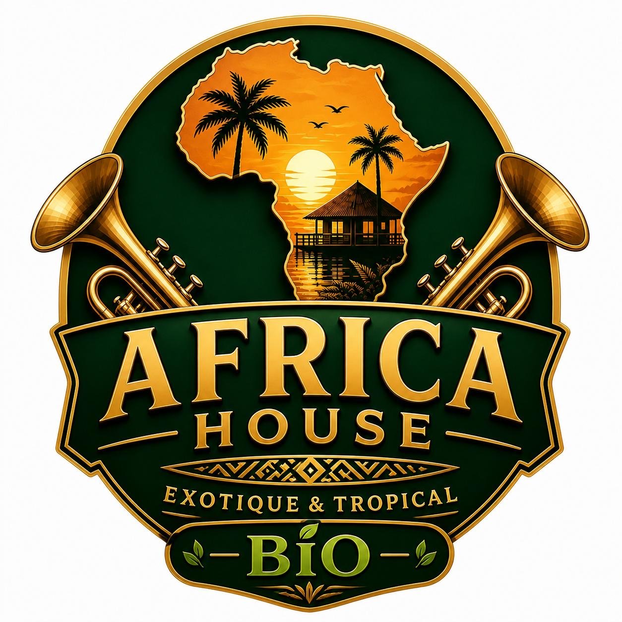 African Housee